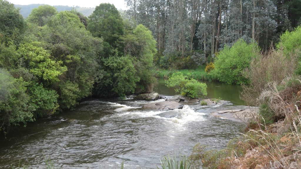 die wirklich winzigen "Niagara Falls" in den Catlins von Neuseeland